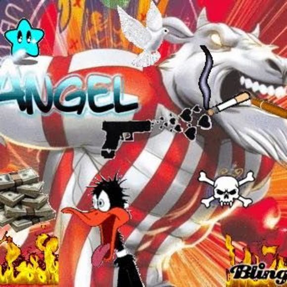 Meet your Posher, Alex - Picture 1 of 1